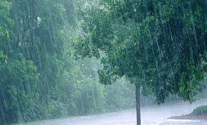 ঘূর্ণিঝড় ‘মিগজাউম’ এর প্রভাবে বৃষ্টি হতে পারে ৩ দিন